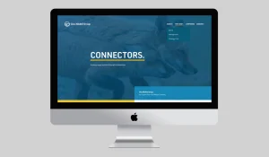 website design - screen