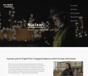 DNI nuclear web page