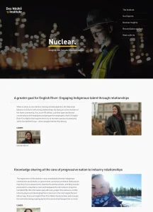 DNI nuclear web page